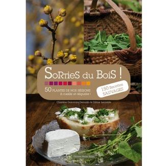 Sorties du Bois