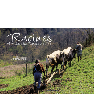 Racines, hier dans les vosges du sud