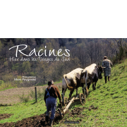 Racines, hier dans les vosges du sud